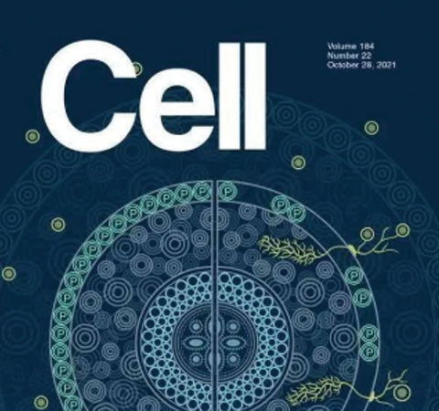 祝賀王二濤老師團隊又一佳作榮登Cell期刊！