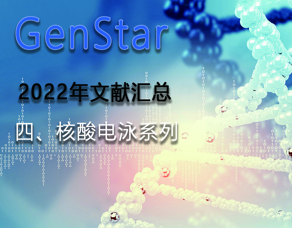 GenStar 2022年文獻匯總（四、核酸電泳系列）